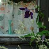 DSCF9630