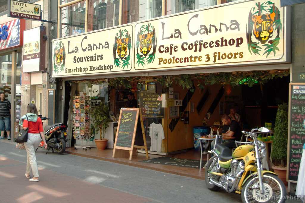 10AmsterCanna
