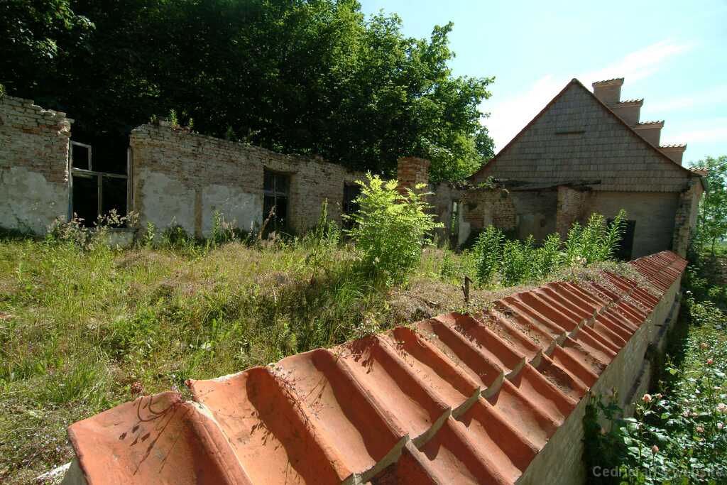 DSCF9086
