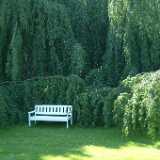 DSCF9108