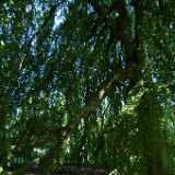 Dscf9104