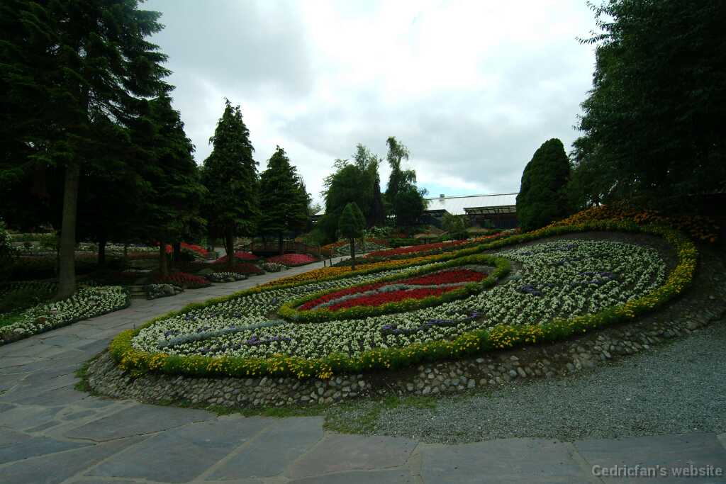 DSCF9151