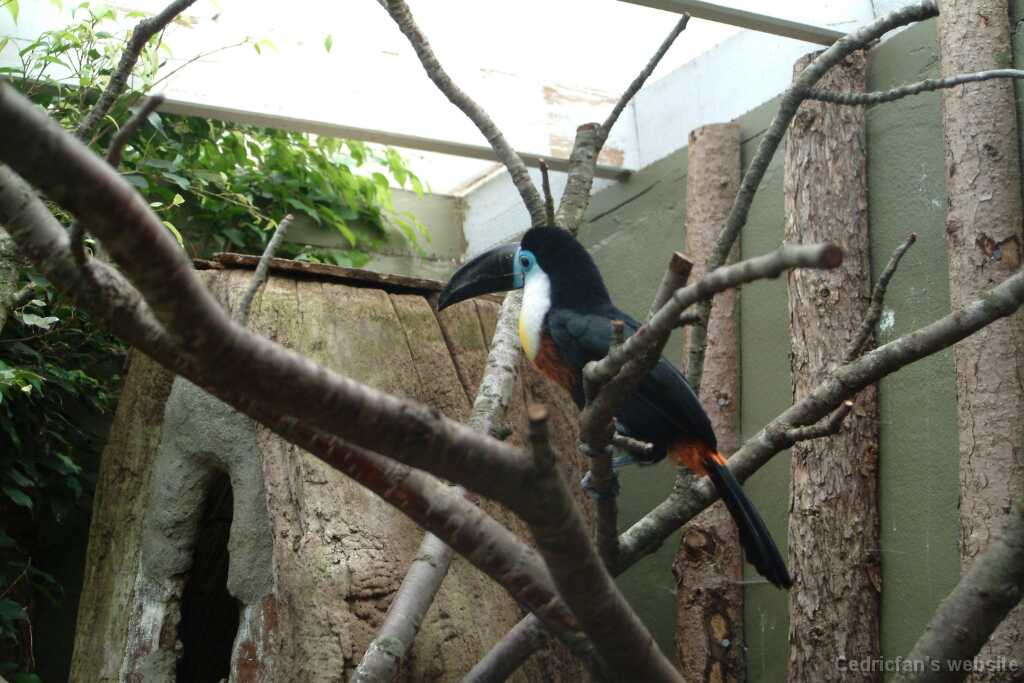DSCF9168