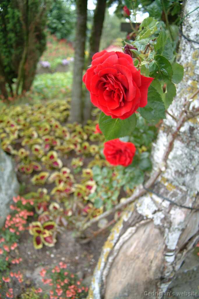 Dscf9144