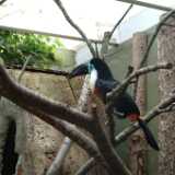 DSCF9168