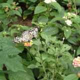 DSCF9176