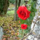 Dscf9144