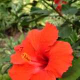 Dscf9171