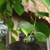 Dscf9173