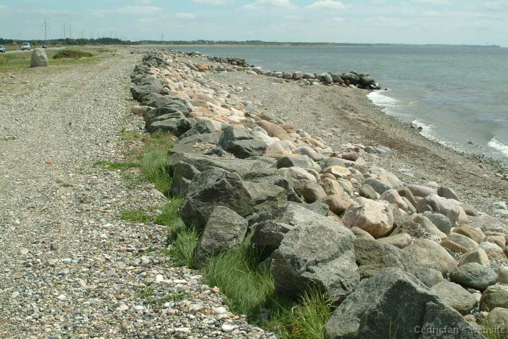 DSCF9129