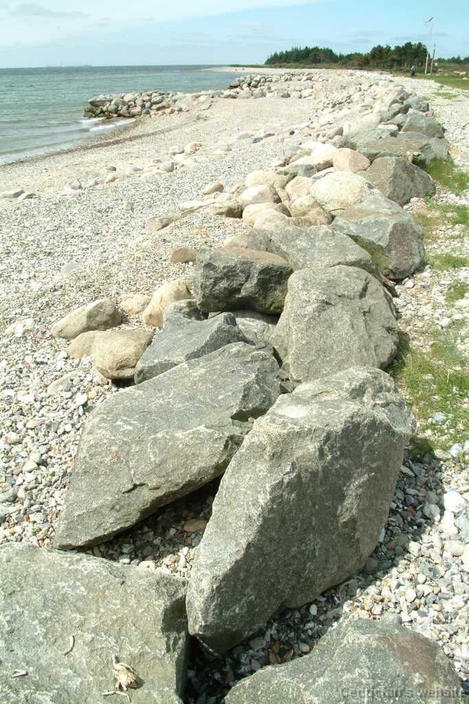 Dscf9125