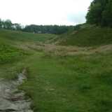 DSCF9191