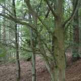 Dscf9185