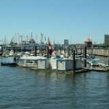 DSCF8877