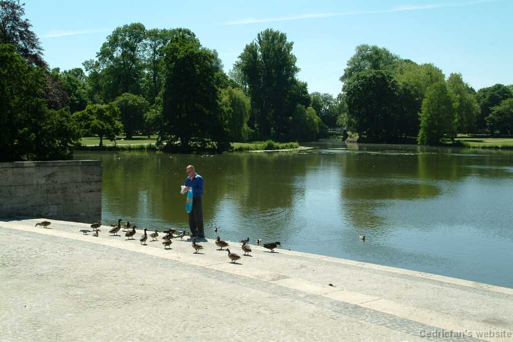 DSCF8919