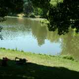 DSCF8917