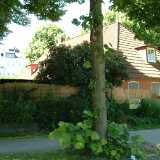 Wiezendorf