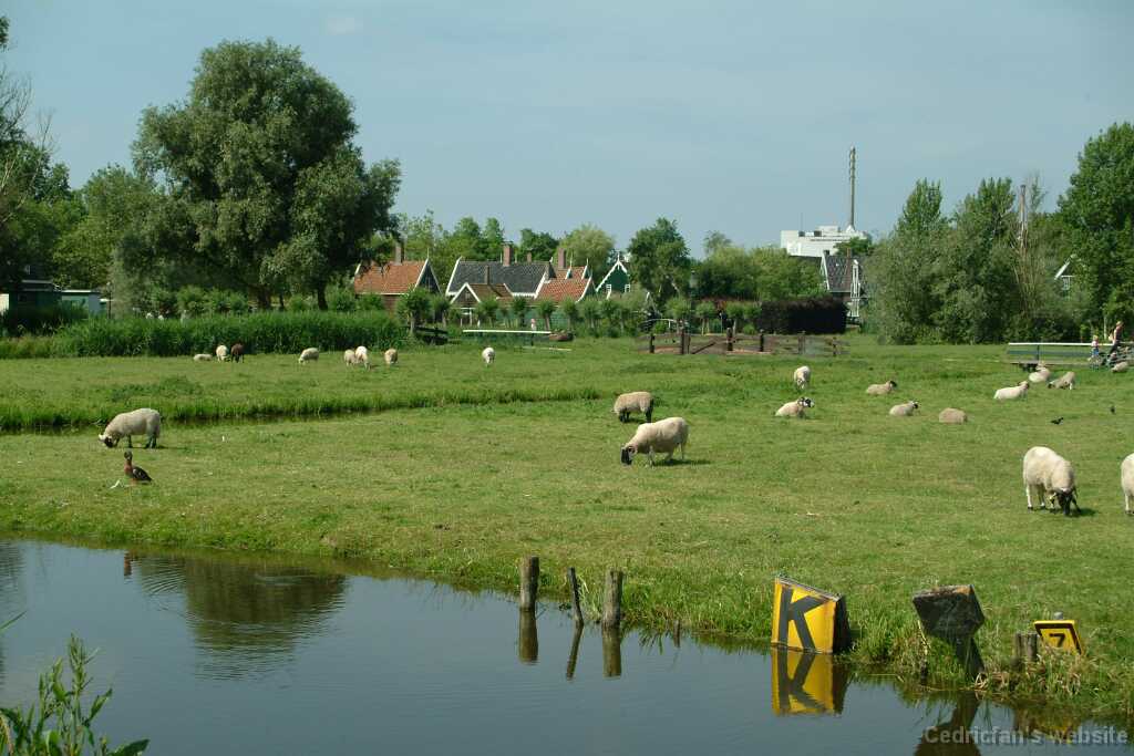 DSCF8942