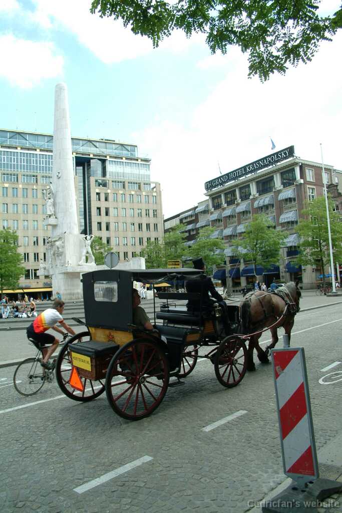 Dscf8985