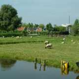 DSCF8942
