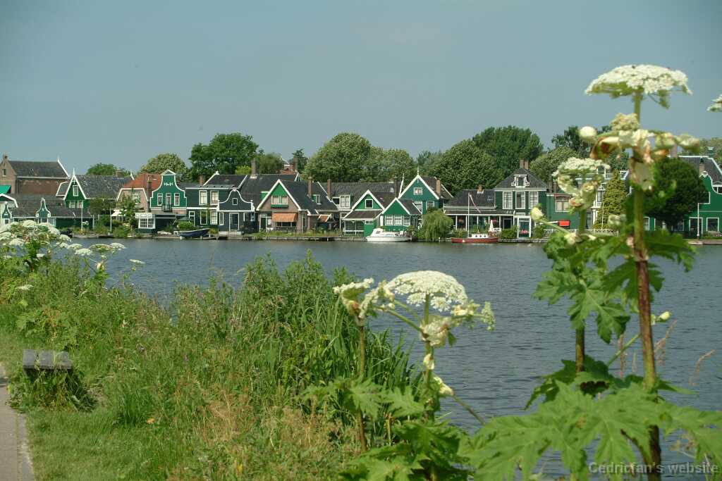 DSCF8956