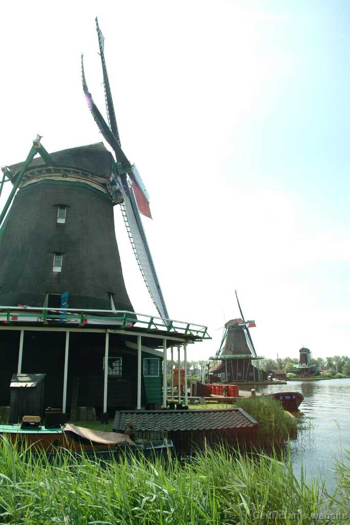 Dscf8951