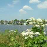 DSCF8958