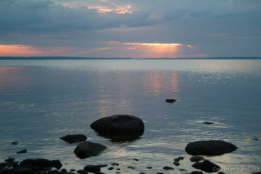 DSCF8839