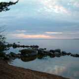 DSCF8835