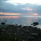 DSCF8837