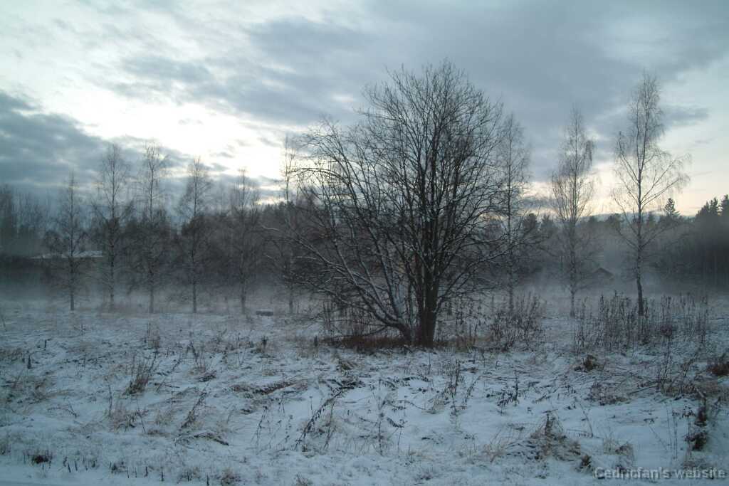 DSCF0770