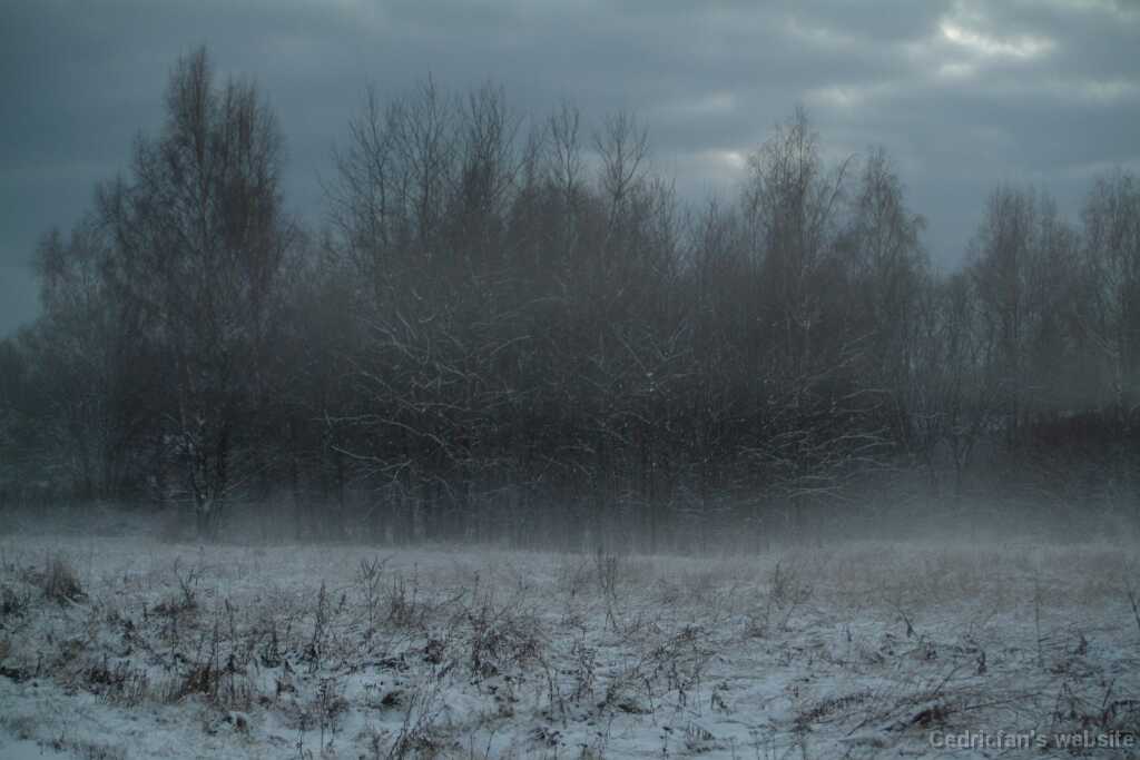 DSCF0771