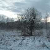 DSCF0770