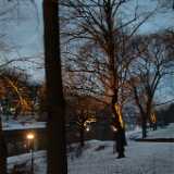 Dscf0784