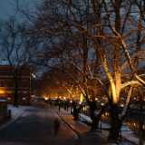Dscf0799