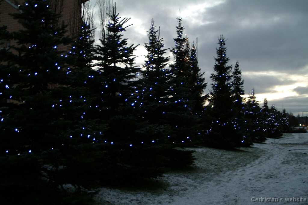 Dscf1216