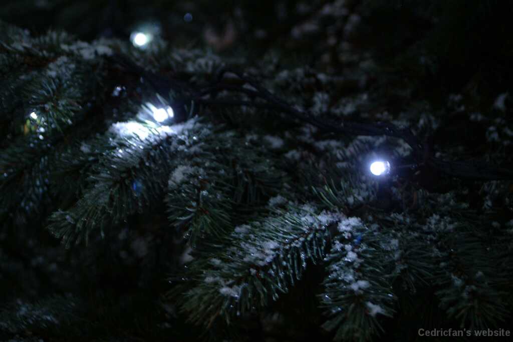 Dscf1225