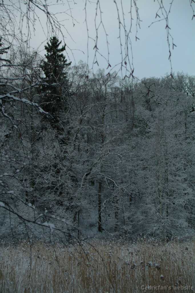 Dscf1232