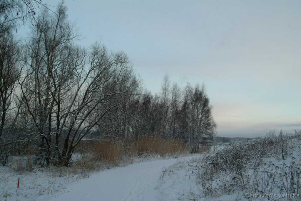 Dscf1234