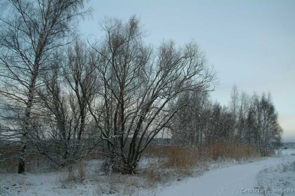 Dscf1235