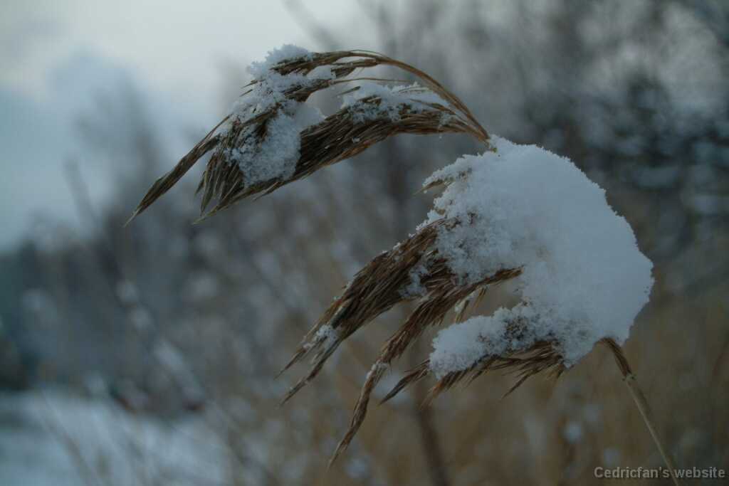 Dscf1241