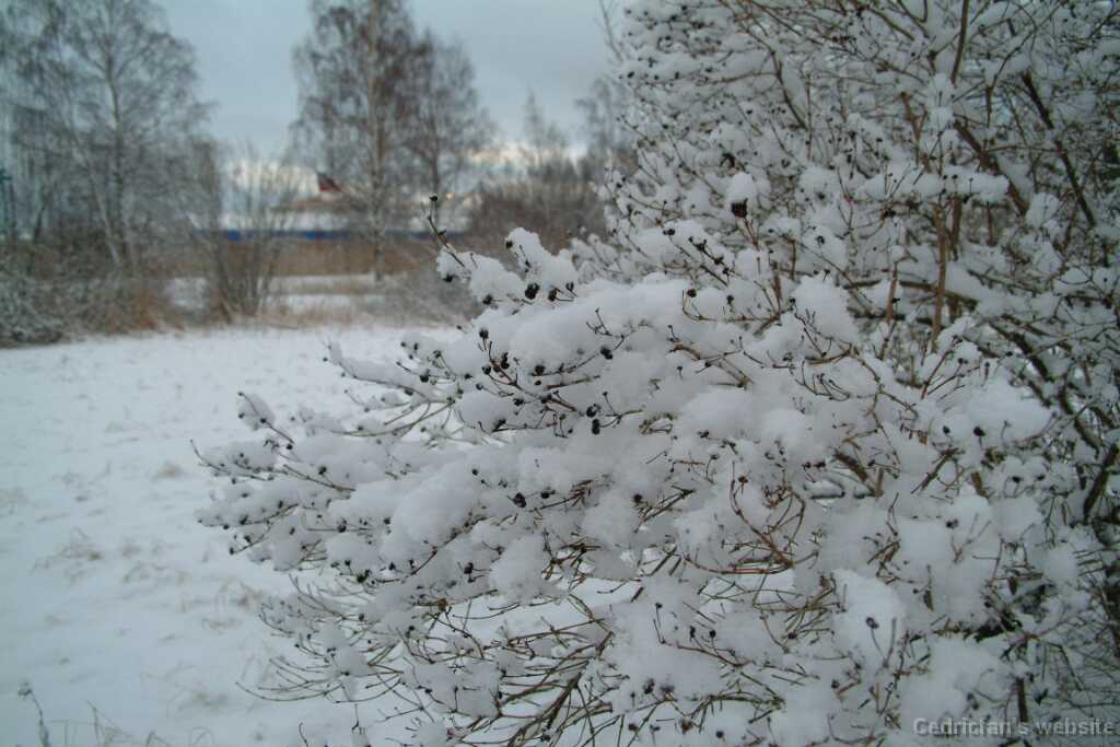 Dscf1252