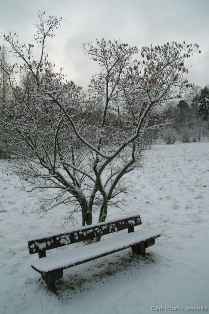 Dscf1254