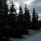 Dscf1216
