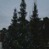 Dscf1228