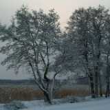 Dscf1230