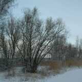Dscf1235