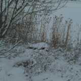 Dscf1238