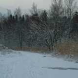 Dscf1239