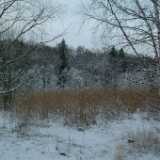 Dscf1240